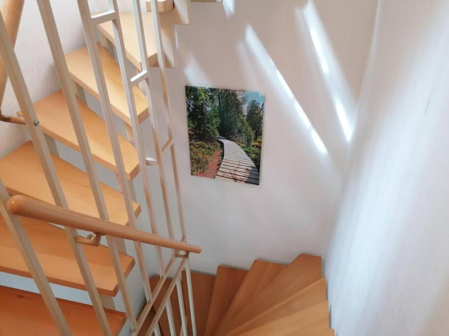 Ferienhaus Hoher Weg - Urlaub, Wandern, Downhill Und Workation Am Nationalpark Harz Sankt Andreasberg Exteriér fotografie