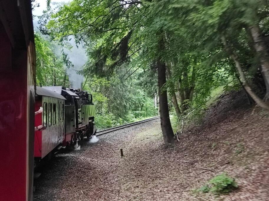 Ferienhaus Hoher Weg - Urlaub, Wandern, Downhill Und Workation Am Nationalpark Harz Sankt Andreasberg Exteriér fotografie