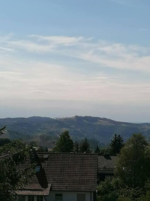Ferienhaus Hoher Weg - Urlaub, Wandern, Downhill Und Workation Am Nationalpark Harz Sankt Andreasberg Exteriér fotografie